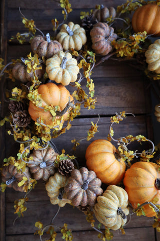 Spiced Collection
